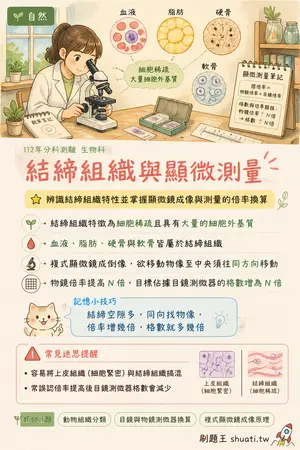 AI 記憶小卡