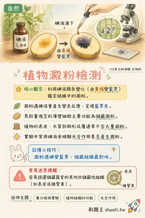 AI 記憶小卡