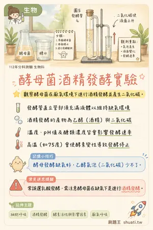 AI 記憶小卡