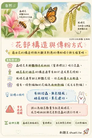 AI 記憶小卡