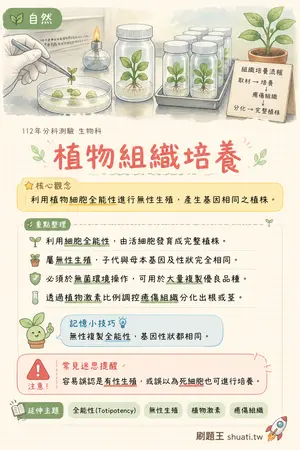 AI 記憶小卡