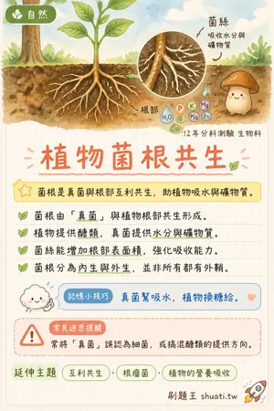 AI 記憶小卡
