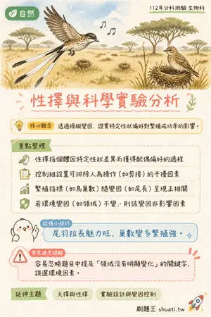 AI 記憶小卡
