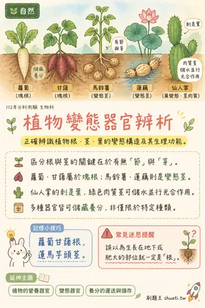 AI 記憶小卡