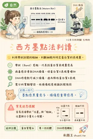 AI 記憶小卡