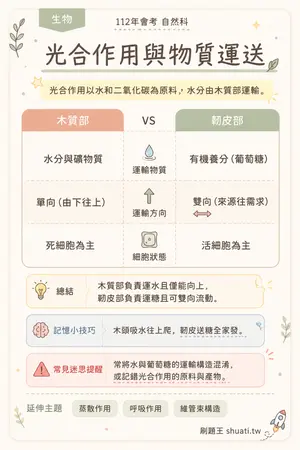 AI 記憶小卡