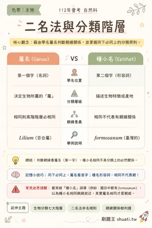 AI 記憶小卡