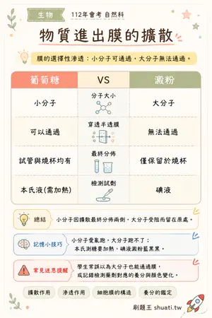 AI 記憶小卡