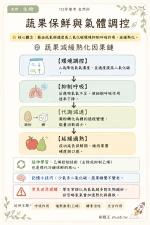 AI 記憶小卡