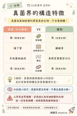 AI 記憶小卡