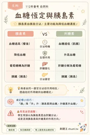 AI 記憶小卡