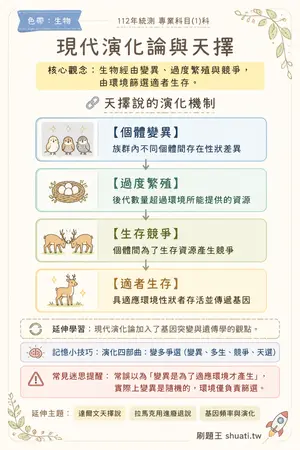 AI 記憶小卡