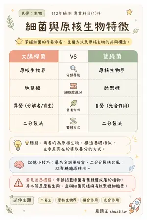 AI 記憶小卡