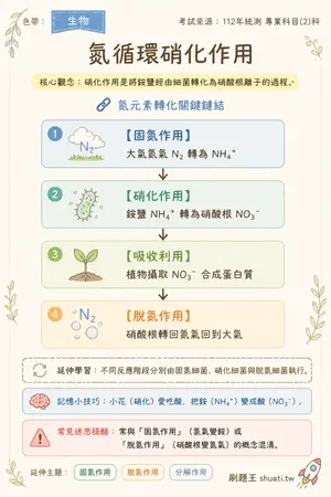 AI 記憶小卡