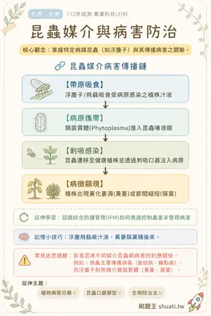 AI 記憶小卡
