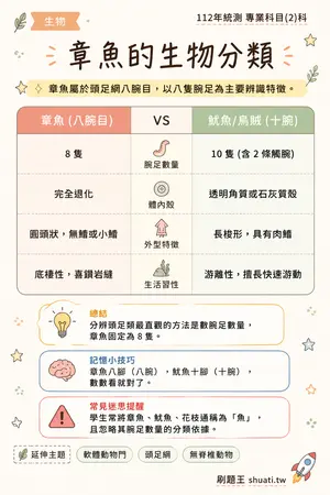 AI 記憶小卡