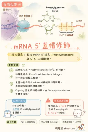 AI 記憶小卡