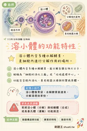 AI 記憶小卡