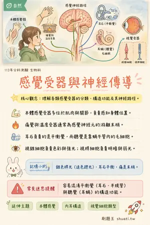 AI 記憶小卡