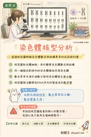 AI 記憶小卡