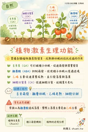 AI 記憶小卡
