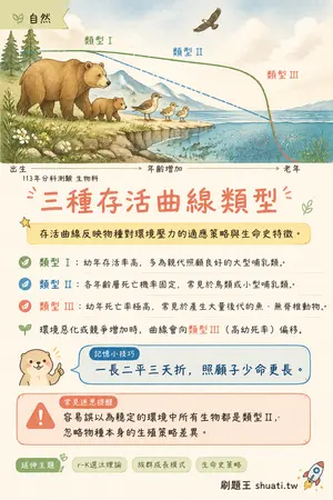 AI 記憶小卡