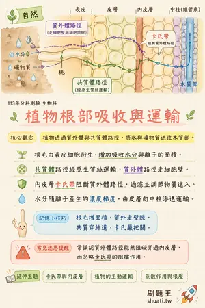 AI 記憶小卡