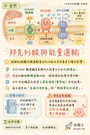 AI 記憶小卡