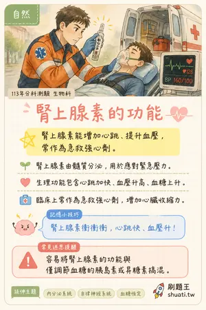 AI 記憶小卡
