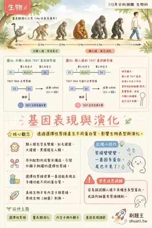 AI 記憶小卡