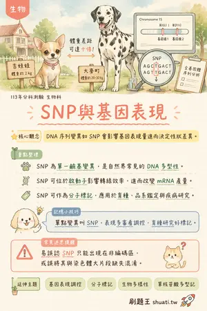 AI 記憶小卡