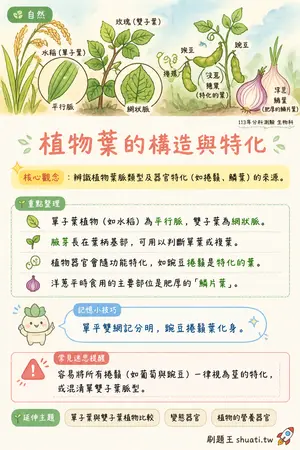 AI 記憶小卡