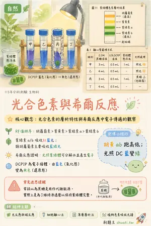 AI 記憶小卡