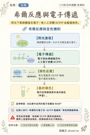 AI 記憶小卡
