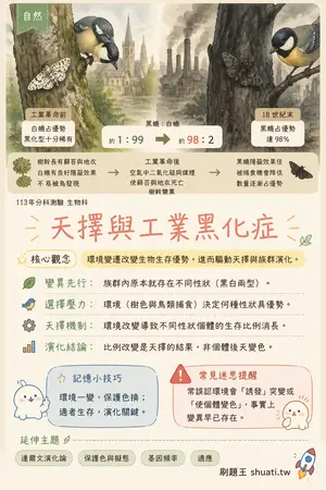 AI 記憶小卡