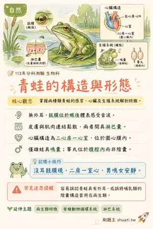 AI 記憶小卡
