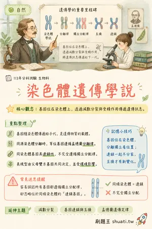 AI 記憶小卡