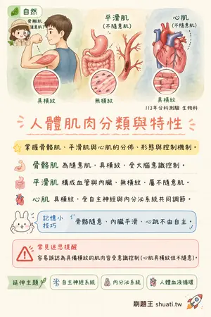 AI 記憶小卡