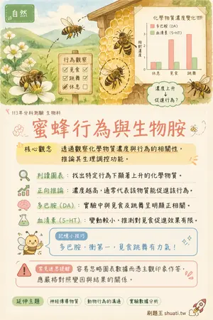 AI 記憶小卡