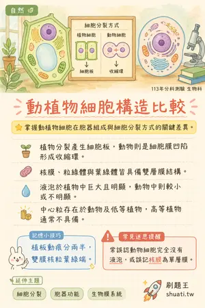 AI 記憶小卡