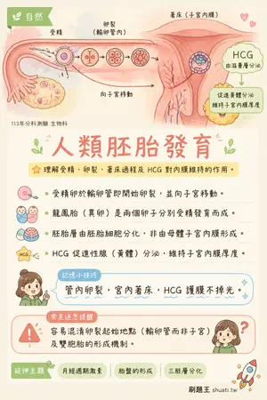 AI 記憶小卡