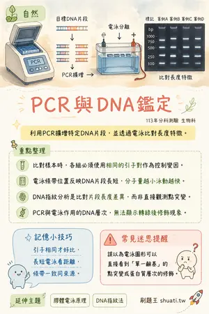 AI 記憶小卡