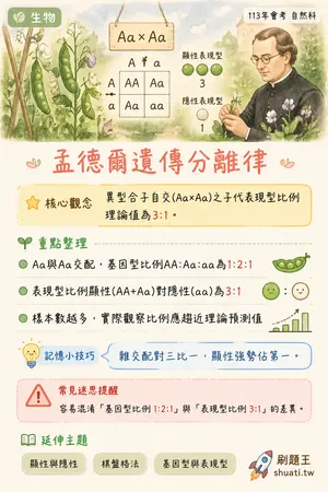 AI 記憶小卡