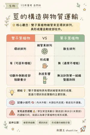 AI 記憶小卡