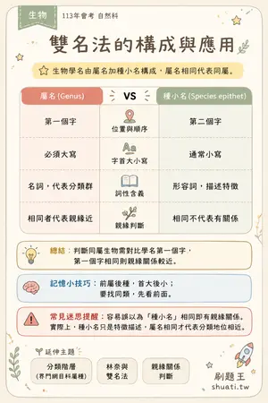 AI 記憶小卡