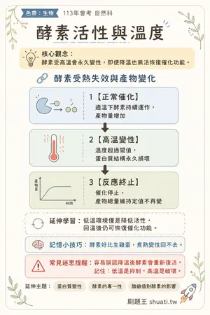 AI 記憶小卡