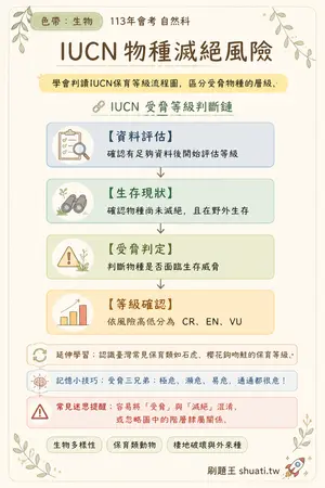 AI 記憶小卡