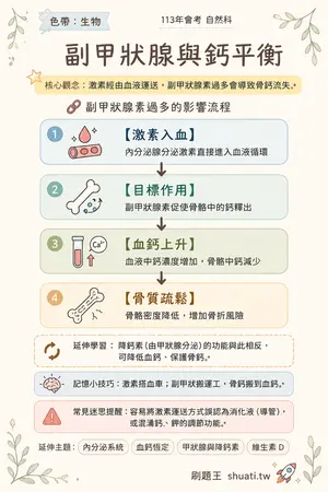 AI 記憶小卡