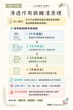 AI 記憶小卡