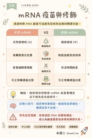 AI 記憶小卡
